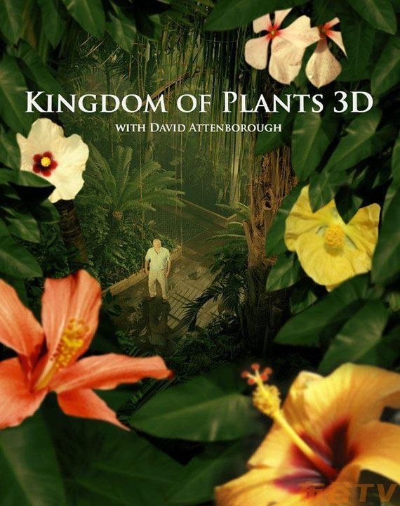 [3d纪录片] 植物王国 Kingdom Of Plants 3d 2012 与大卫·爱登堡一起探索植物王国 Kingdom Of Plants 2012 3d H Sbs